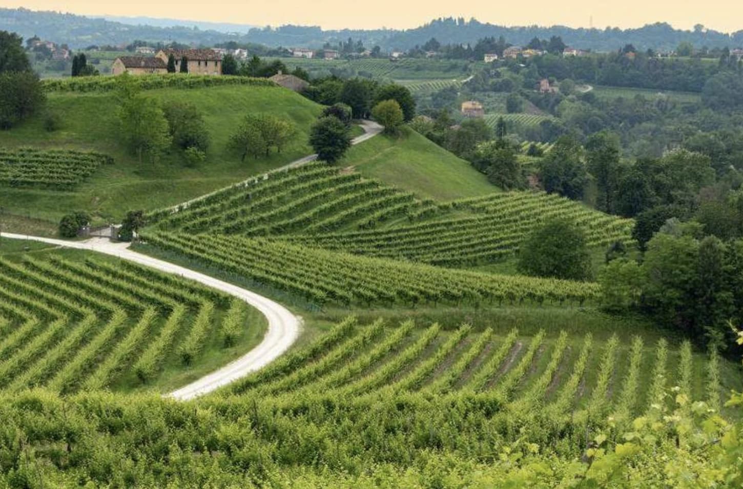 Veneto with kids: family activities between nature and fun