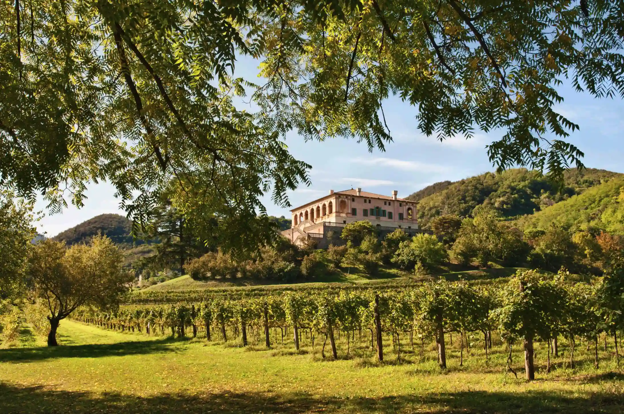 Villa with pool in Veneto: relax among the Euganean Hills and art cities